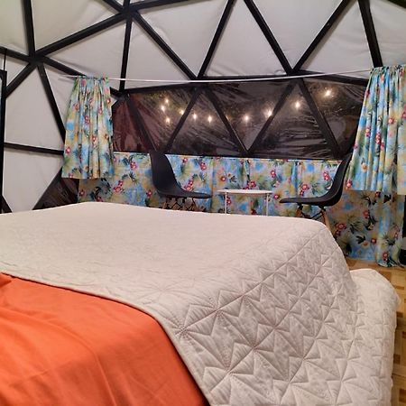 Hotel Boruka Bnb à Alajuela Extérieur photo