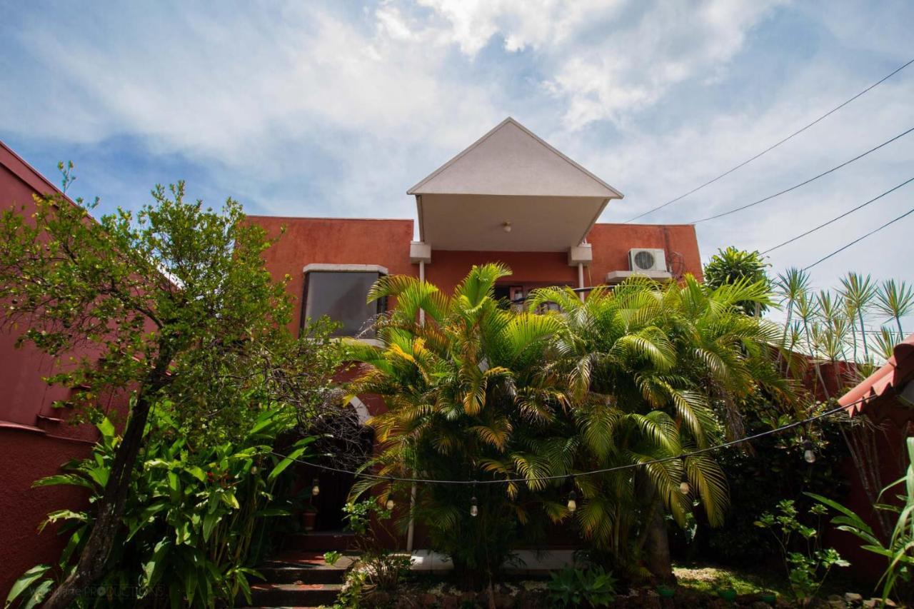 Hotel Boruka Bnb à Alajuela Extérieur photo