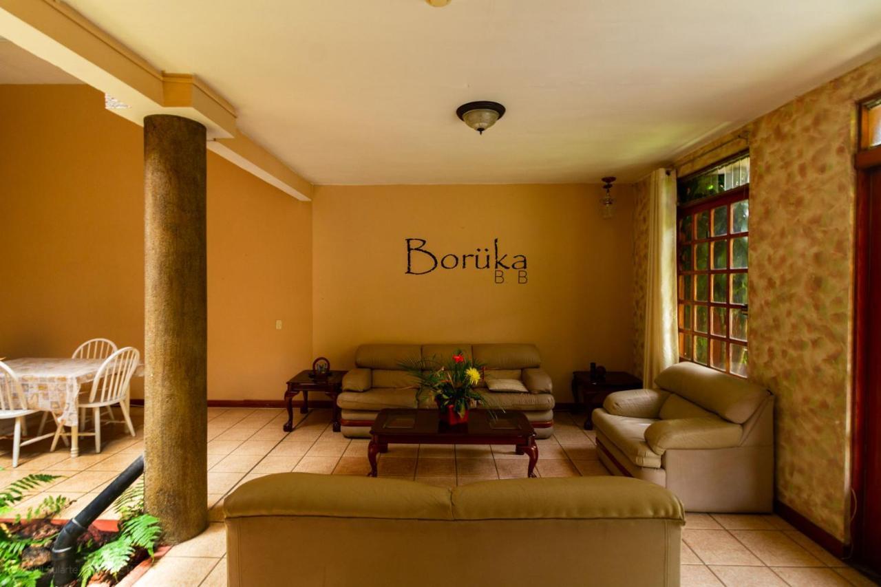Hotel Boruka Bnb à Alajuela Extérieur photo
