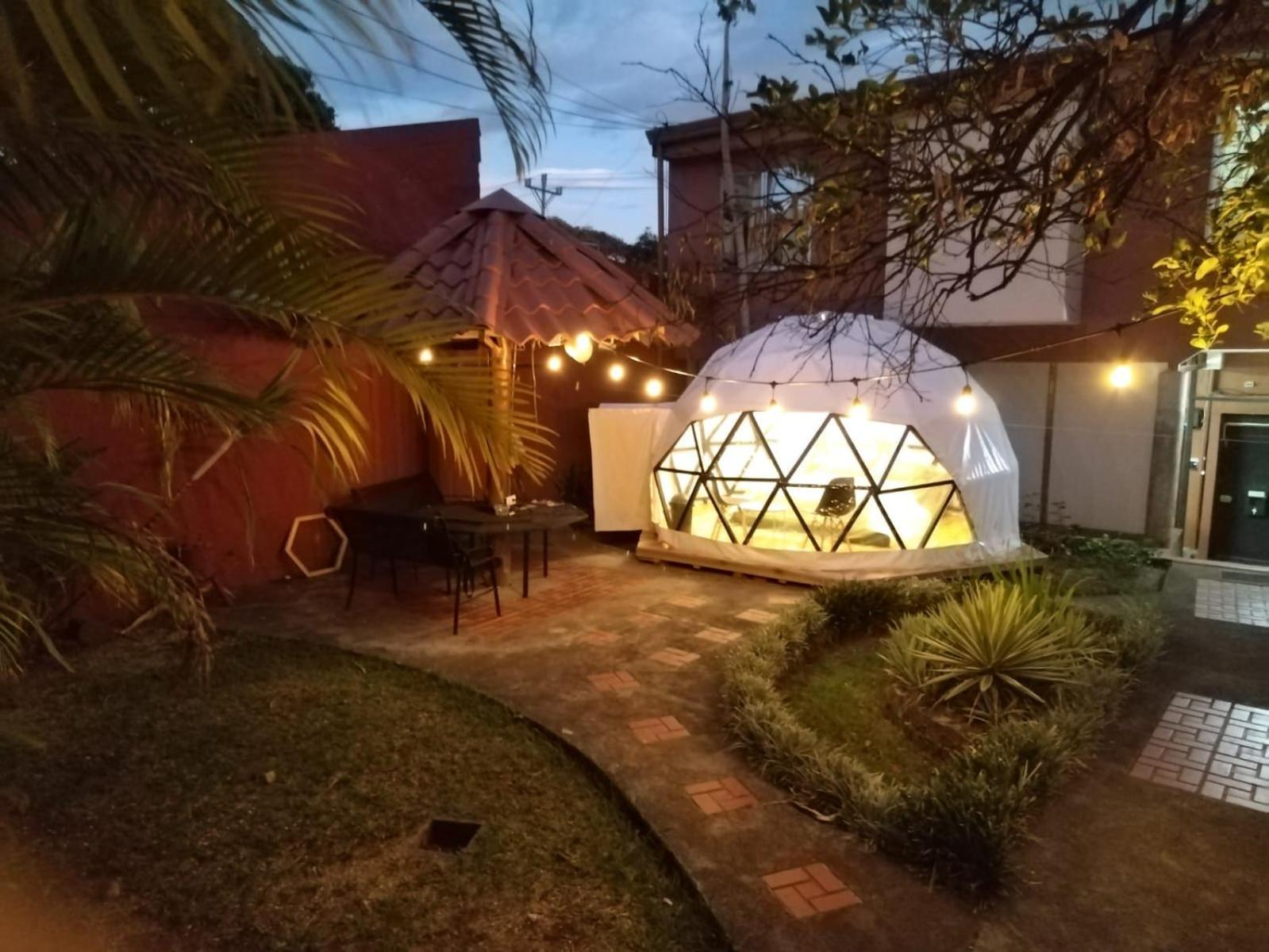 Hotel Boruka Bnb à Alajuela Extérieur photo