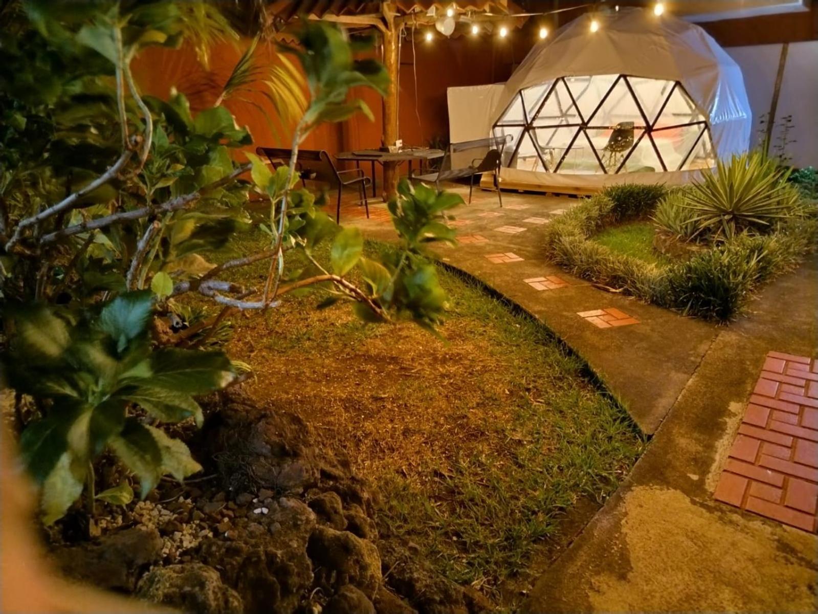 Hotel Boruka Bnb à Alajuela Extérieur photo